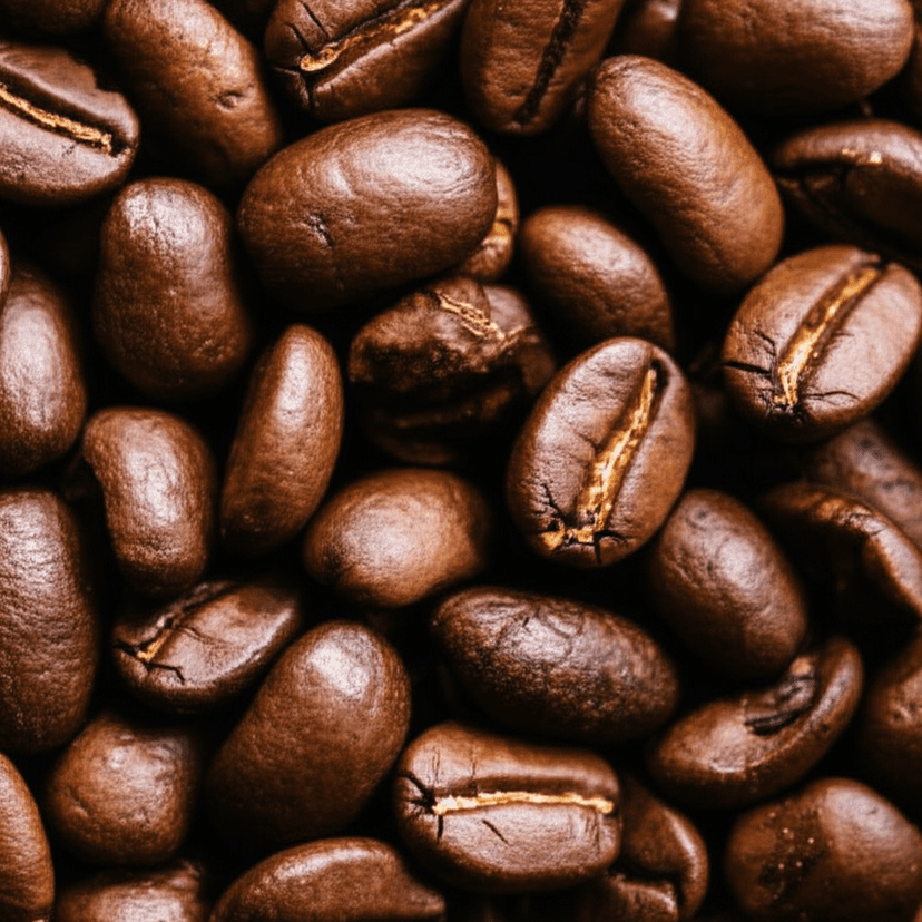 Grains de café premium