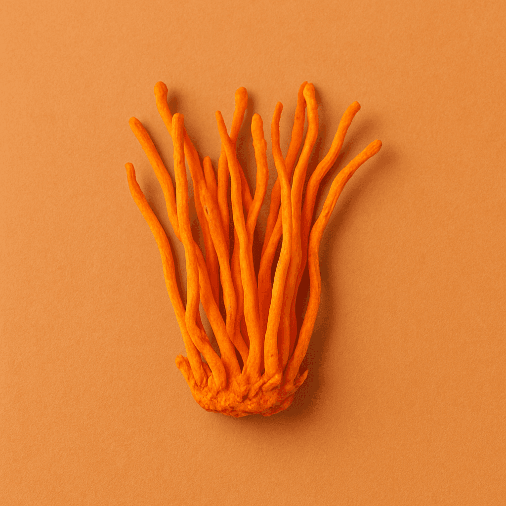 Cordyceps militaris